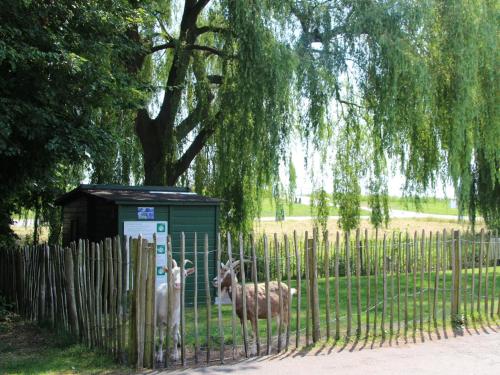 Nice holiday home with garden