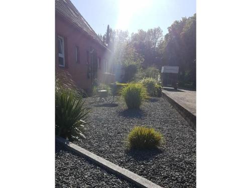 Facilities, Pond view in the house by the pond in Todendorf