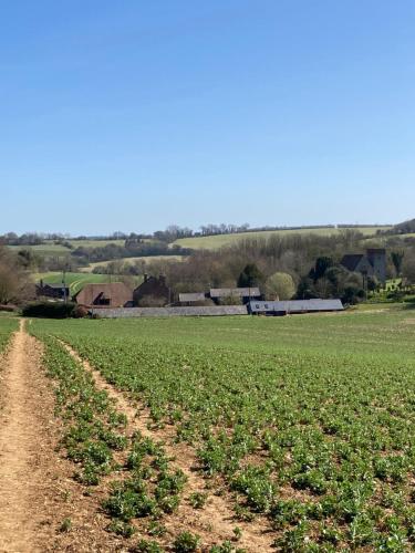 Five Cottages in AONB, Ashford (fotografie 4)