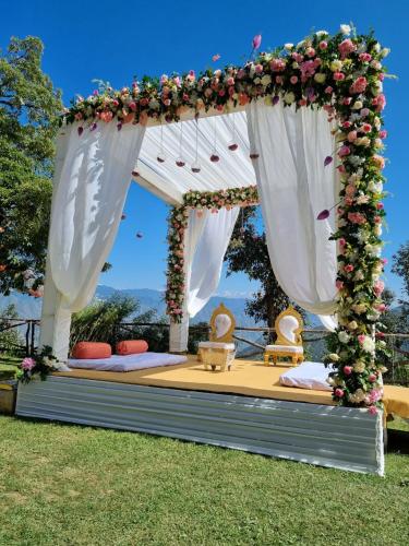 Kert, The Mountain Quail in Charleville