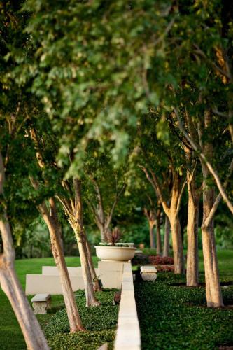 The Westin Dallas Stonebriar Golf Resort & Spa - image 13