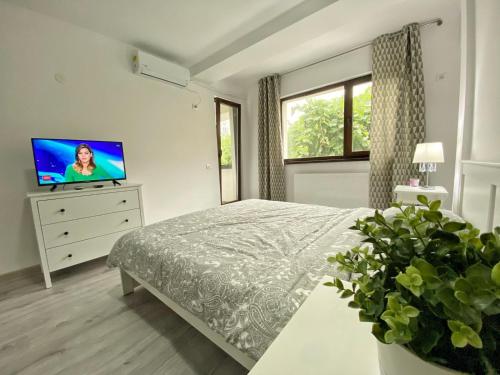 Morii Lake Apartaments & Studios 5