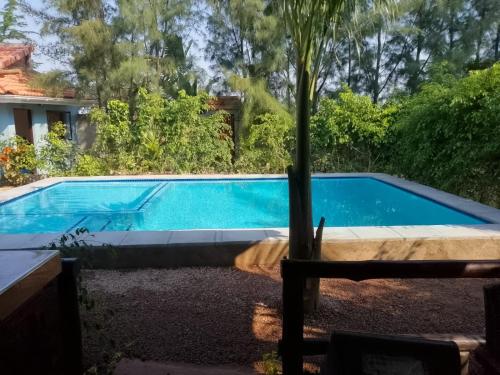 Moony’s Chalets & Camping