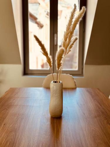 Létesítmények, Cocon Bohème & Travertin (Cocon Boheme & Travertin) in Joigny