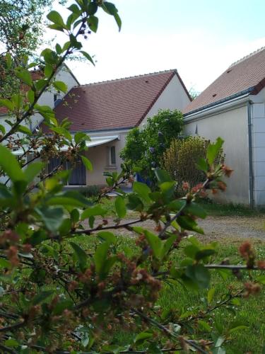 LE LOGIS VINEA