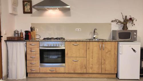 Konyha, Apartament a Mas l'Erm in Vall D'En Bas