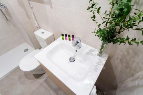 Apartamentos Blume Conde Aranda - image 3