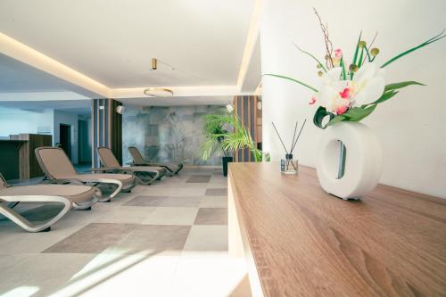 Spa, Hotel Sato Conference & SPA Resort in Sutomore