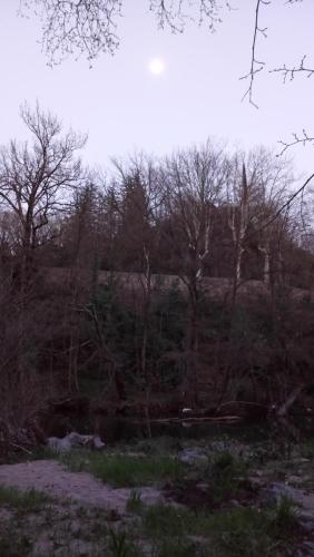 Le Moulin aux Chandelles, gîtes sans ondes ajoutées ni ajoutables "Le Bois du Sanglier"