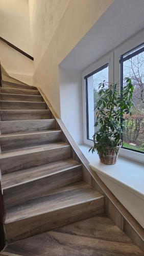 外部景觀, Apartmány U Provazníka (Apartmany U Provaznika) in 茲迪科夫