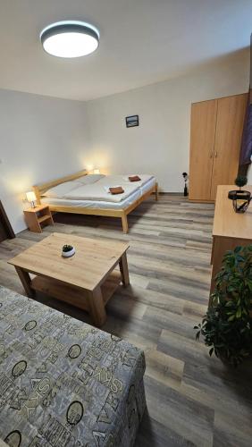 外部景觀, Apartmány U Provazníka (Apartmany U Provaznika) in 茲迪科夫