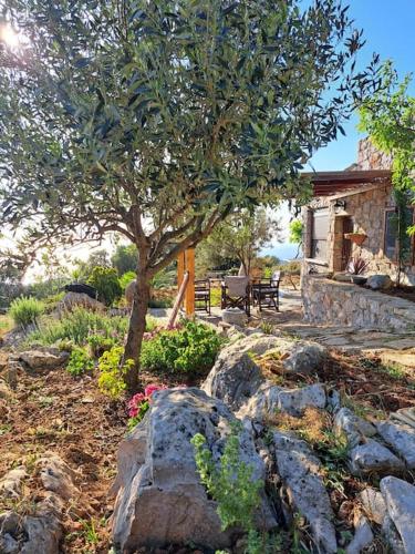 Ηλιοβασίλεμα, Chios (fotografie 9)