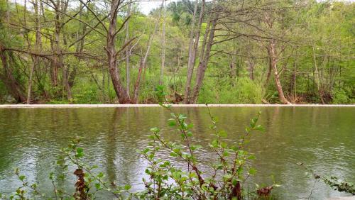 Le Moulin aux Chandelles, gîtes sans ondes ajoutées ni ajoutables "Le Bois du Sanglier"