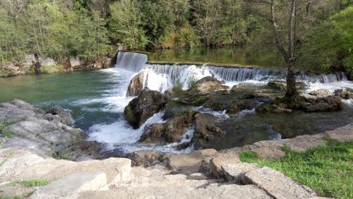 Le Moulin aux Chandelles, gîtes sans ondes ajoutées ni ajoutables "Le Bois du Sanglier"