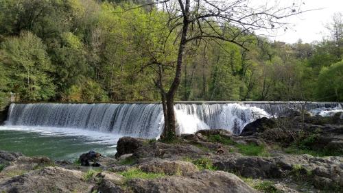 Le Moulin aux Chandelles, gîtes sans ondes ajoutées ni ajoutables "Le Bois du Sanglier"