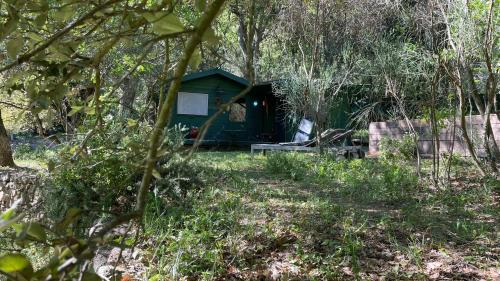 Chalet avec piscine privée dans la forêt