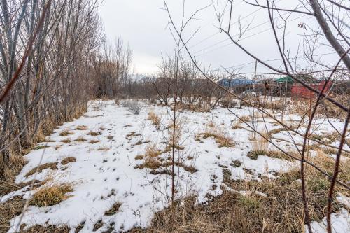 Halif, Karakol (foto 6)