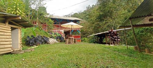 Curigua Ecolodge-Sendero Cascada la milagrosa Buga