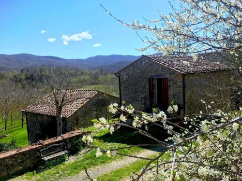 Ferienhaus in Ciciano mit Terrasse, Garten und Grill und Panoramablick