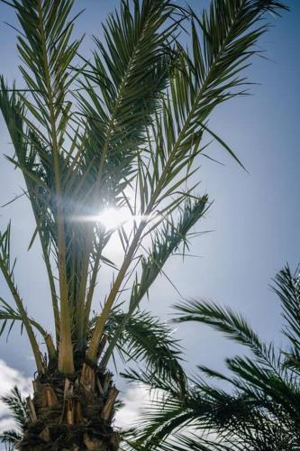 Finca Can Alma, Cas Concos Finca Can Alma, Cas Concos