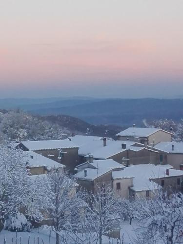 HOME L'UPUPA AMIATA