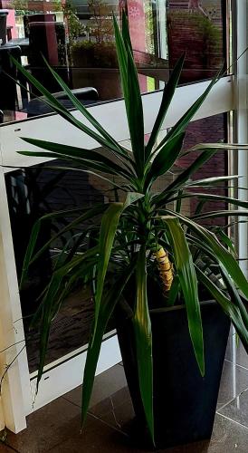 The Originals City Hôtel Le Forum Strasbourg Nord (Inter-Hotel) - image 4