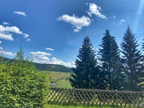 Ferien im Tannenhof Wohnung 1, in der Eltern-Kind-Fachklinik Tannenhof in Todtnauberg Ferien im Tannenhof Wohnung 1, in der Eltern-Kind-Fachklinik Tannenhof in Todtnauberg