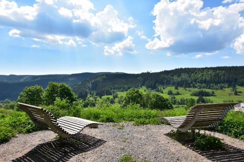 Schwarzwaldhaus Krebs - Peter Lustig, Lenzkirch, Feldberg 1.2km von Lenzkirch entfernt