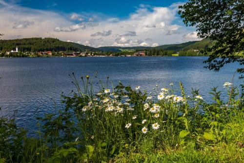 Sope Skylodge 06 - Elgit's Bergblick - Oberried, Schauinsland