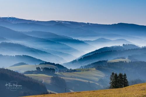 Sope Skylodge 06 - Elgit's Bergblick - Oberried, Schauinsland