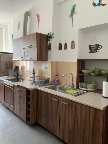 Cozinha, Jungle Rooms in Suchanino