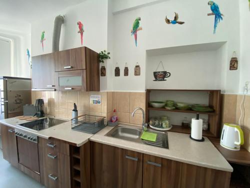 Cozinha, Jungle Rooms in Suchanino