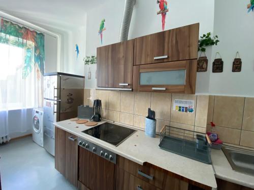 Cozinha, Jungle Rooms in Suchanino
