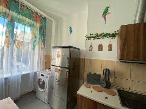 Cozinha, Jungle Rooms in Suchanino