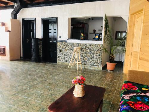 Pensiunea Ioana in Borsa