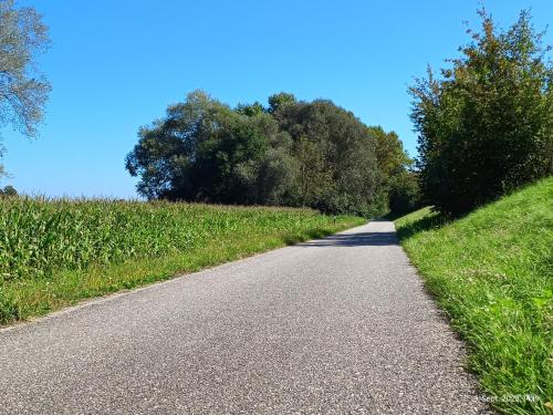 G.A.D.D Ferienwohnung/Glück an der Donau G.A.D.D Ferienwohnung/Glück an der Donau