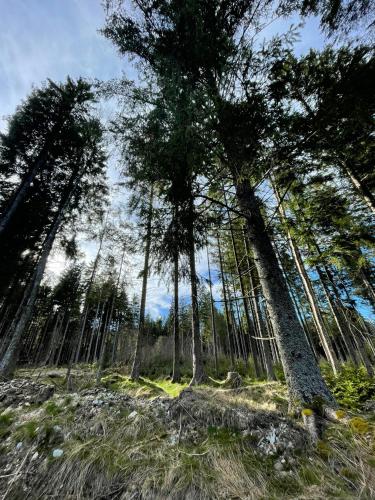 G.A.D.D Ferienwohnung/Glück an der Donau G.A.D.D Ferienwohnung/Glück an der Donau