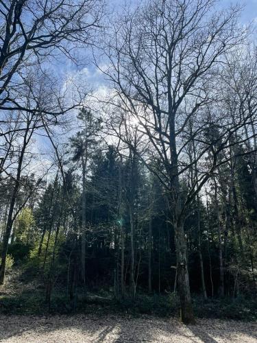 G.A.D.D Ferienwohnung/Glück an der Donau G.A.D.D Ferienwohnung/Glück an der Donau