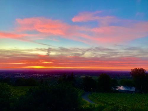Exklusive Wohnung mit Panorama von Schwarzwald bis zu den Vogesen Exklusive Wohnung mit Panorama von Schwarzwald bis zu den Vogesen