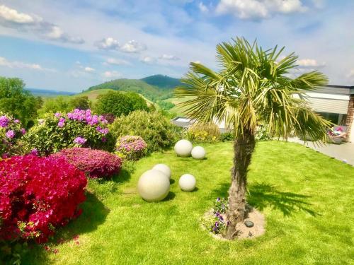 Exklusive Wohnung mit Panorama von Schwarzwald bis zu den Vogesen Exklusive Wohnung mit Panorama von Schwarzwald bis zu den Vogesen