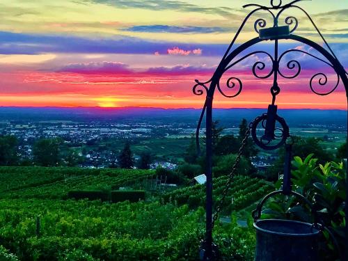 Exklusive Wohnung mit Panorama von Schwarzwald bis zu den Vogesen Exklusive Wohnung mit Panorama von Schwarzwald bis zu den Vogesen