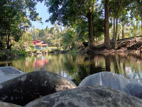 Cabin lake