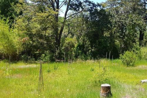 Los Lleuques, pinto, recinto, termas de Chillán