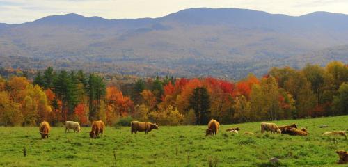 Trapp Family Lodge