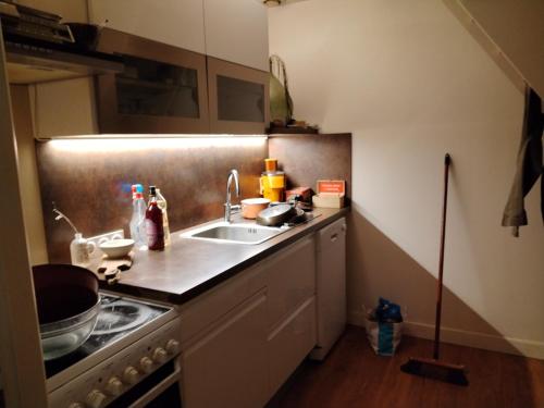 Location d'une chambre et d'une salle de bain privée dans mon appartement ou je réside également pendant votre séjour, Lyon (Foto 3)