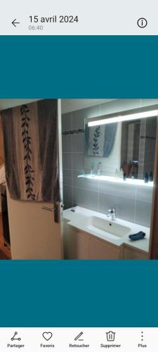 Location d'une chambre et d'une salle de bain privée dans mon appartement ou je réside également pendant votre séjour, Lyon (Foto 4)