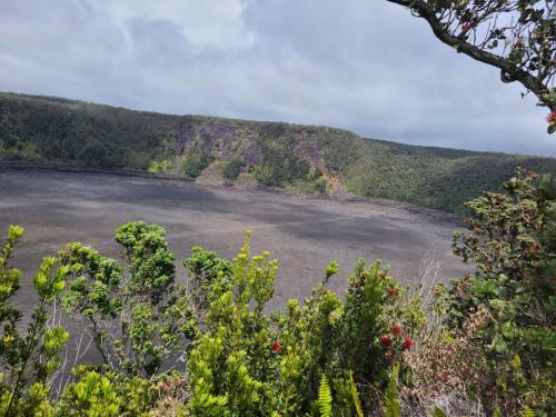 Paradise Park Newly built studio with king bed Paradise Park Newly built studio with king bed