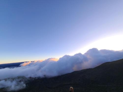 Paradise Park Newly built studio with king bed Paradise Park Newly built studio with king bed