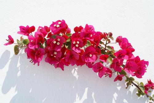 Aethrio Sunset Village - Oia - image 11