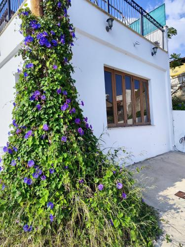 Mariam Apartment in Anafotija